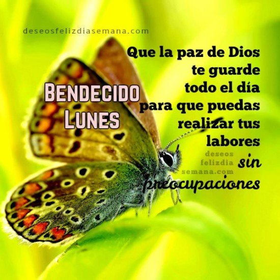 Imágenes con frases cristianas de Felíz Lunes con mensajes Bonitos