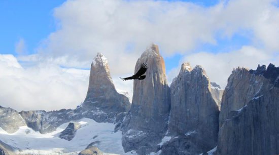 Torres del Paine paisajes, parque, flora, fauna (14)