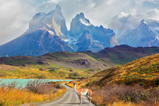 Torres del Paine paisajes, parque, flora, fauna (2)