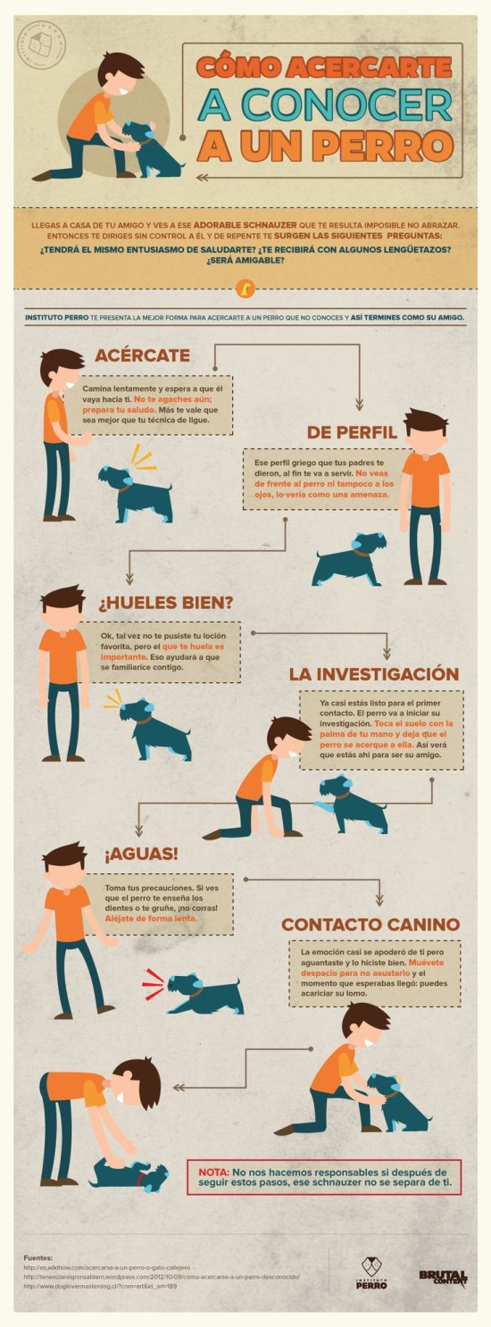 Infografias de Perros  (2)