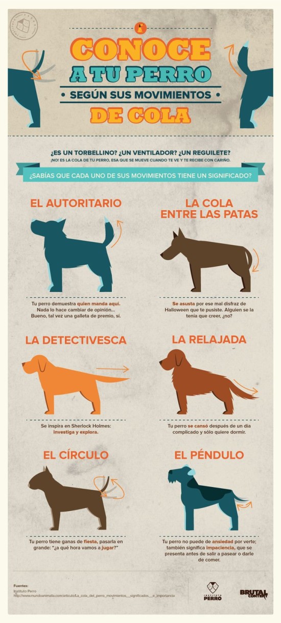 Infografias de Perros  (3)