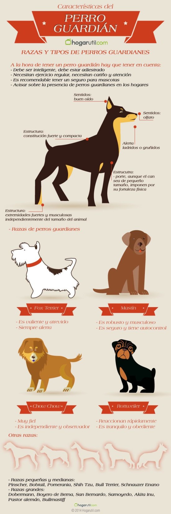 Infografias de Perros  (4)