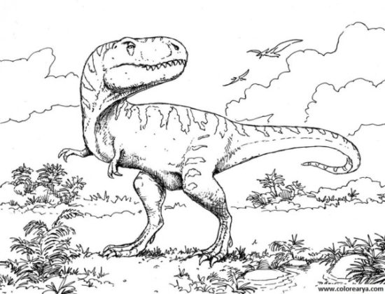 Dinosaurios para colorear dibujos (5)