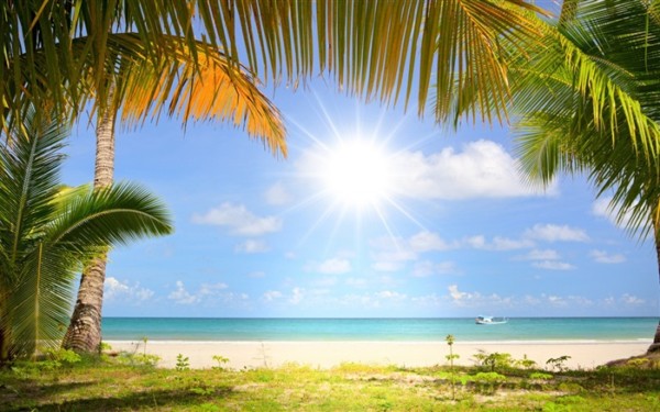 Imágenes con paisajes de Verano: sol, palmeras y playa – Información