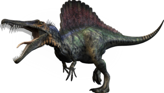 especies de Dinosaurios (1)