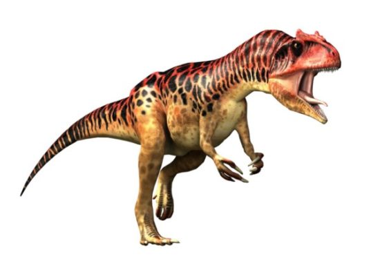especies de Dinosaurios (18)