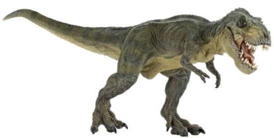 especies de Dinosaurios (22)
