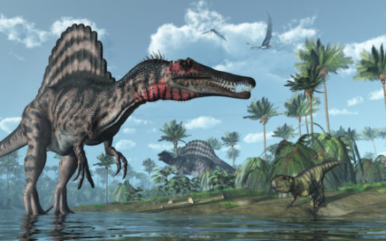 especies de Dinosaurios (23)