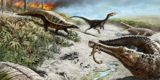 especies de Dinosaurios (4)