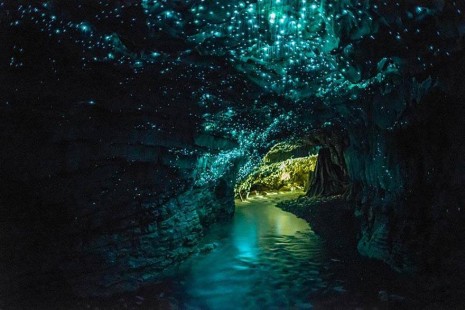 Cueva Waitomo, En Nueva Zelanda