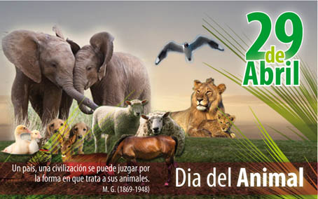 29 de Abril - Día del animal