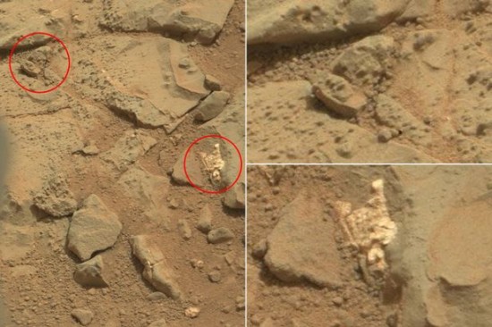 imágenes de Vida en Marte (8)
