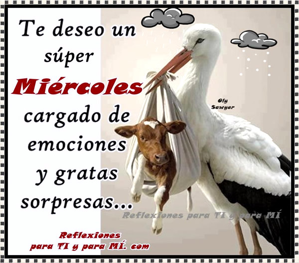 Imagenes Con Frases Bonitas Y Mensajes De Feliz Miercoles Informacion Imagenes