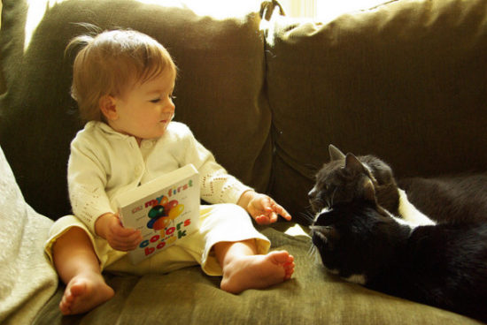 bebes y niños con gatos  (11)