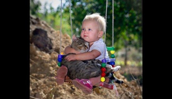 bebes y niños con gatos  (12)