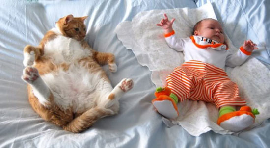 bebes y niños con gatos  (4)