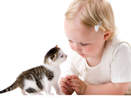bebes y niños con gatos  (6)