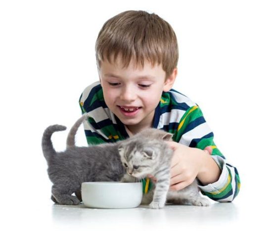 bebes y niños con gatos  (7)