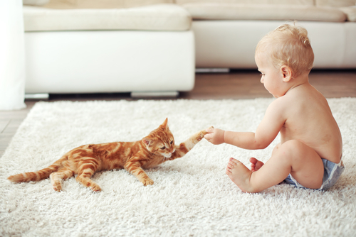 bebes y niños con gatos  (8)