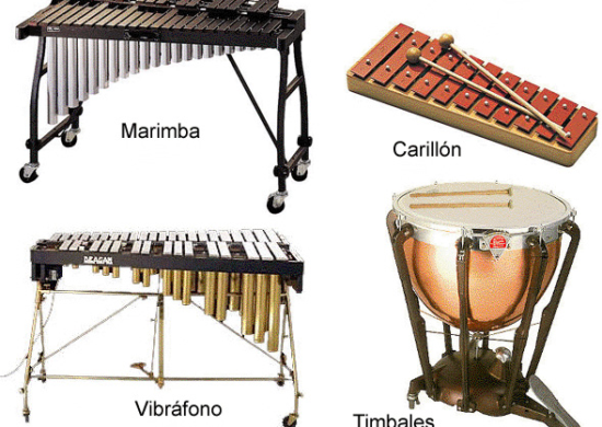 instrumentos musicales de percusion o acusticos (3)