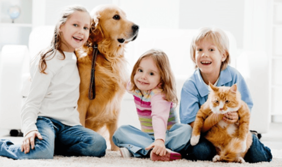 niños y bebes con perros  (1)