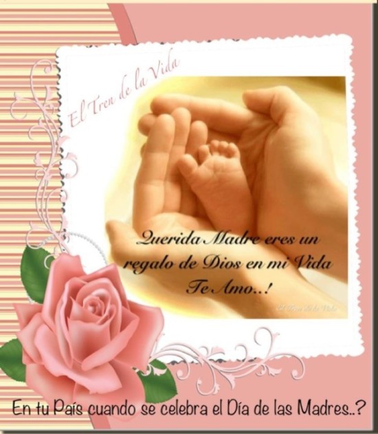 Feliz dia de la Madre imágenes frases  (12)