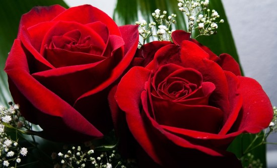 Imágenes con Flores Felíz Día de la Mujer para enviar (1)