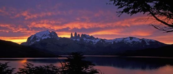 Torres del Paine paisajes, parque, flora, fauna (15)