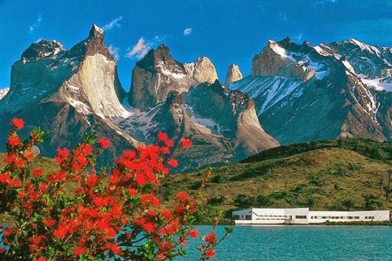 Torres del Paine paisajes, parque, flora, fauna (5)