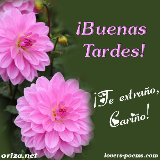 buenas-tardes_008