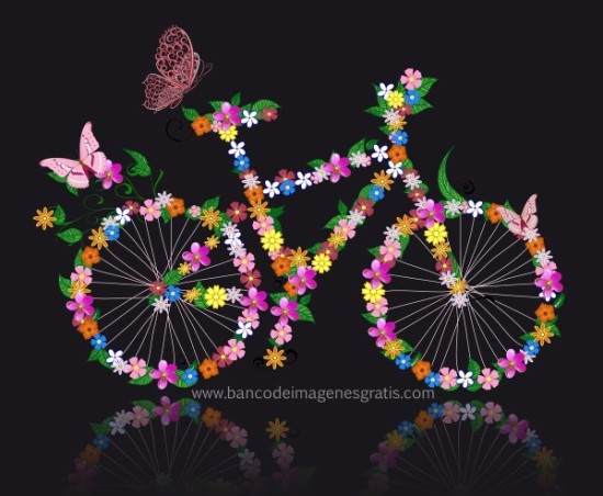 Día de la Bicicleta  (1)