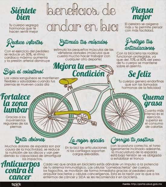 Día de la Bicicleta  (3)