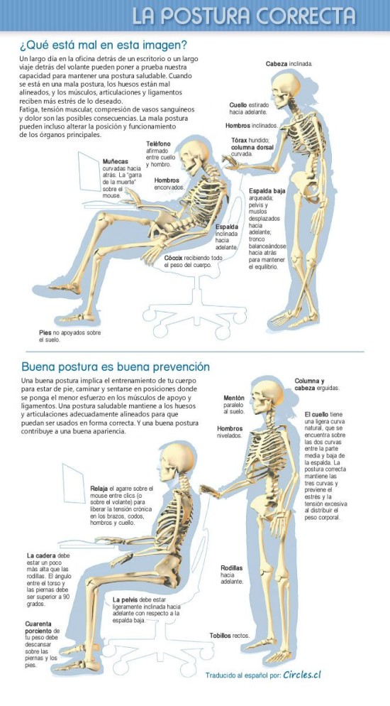 Infografía La Postura Correcta