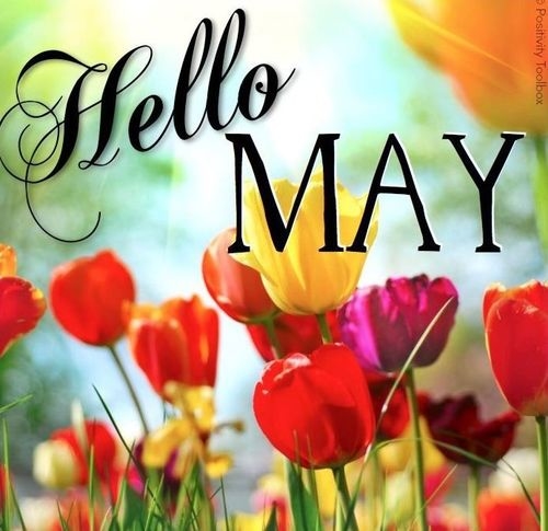 Hello May - Hola Mayo  (15)