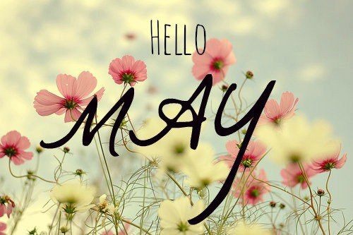 Hello May - Hola Mayo  (21)