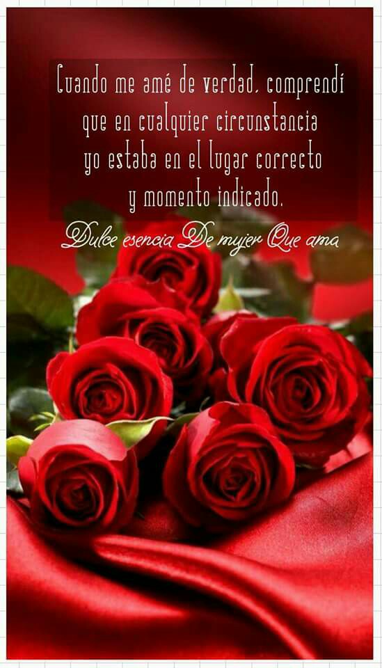 Imagenes De Rosas Rojas Con Frases De Amor Informacion Imagenes