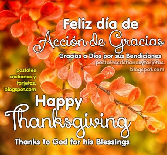Tarjetas de Feliz dia de Acción de Gracias (3)