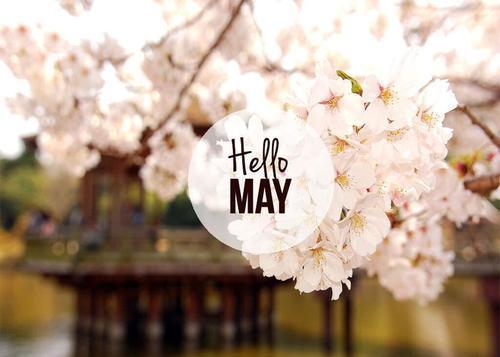 Hello-May-Cover-Photo-4