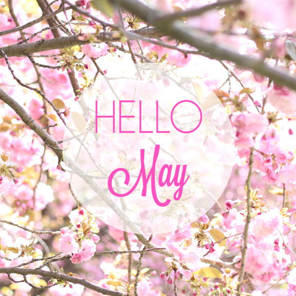 hello-may