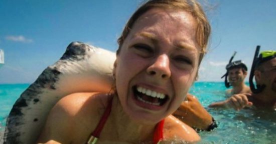 selfies divertidas con Animales (15)