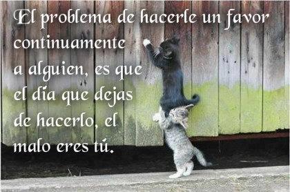 Animales con Frases  (1)