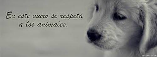 Animales con Frases  (7)