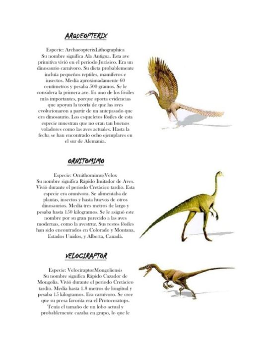Dinosaurios información (10)