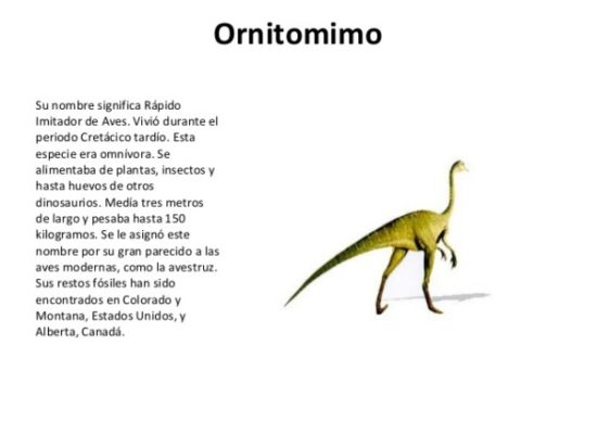 Dinosaurios información (13)