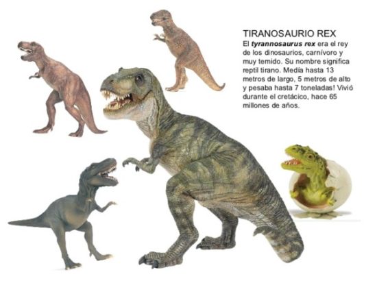 Dinosaurios información (14)