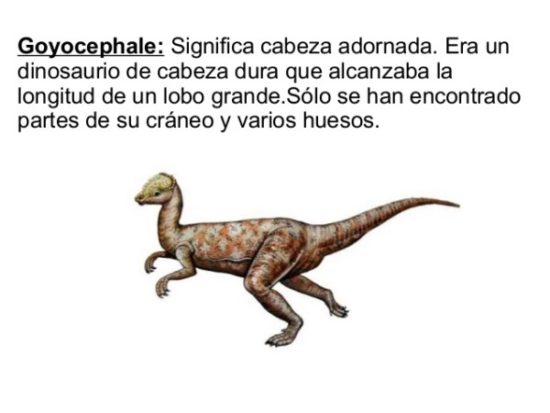 Dinosaurios información (15)