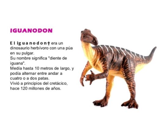 Dinosaurios información (17)