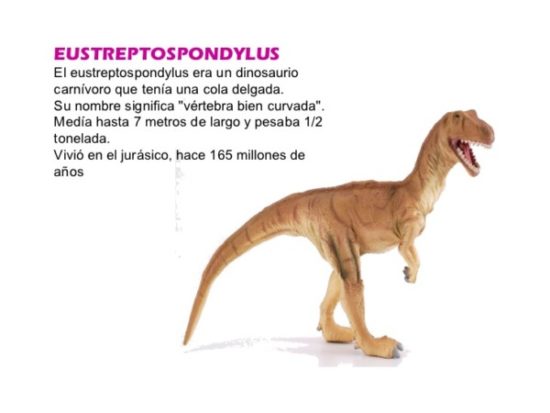 Dinosaurios información (18)