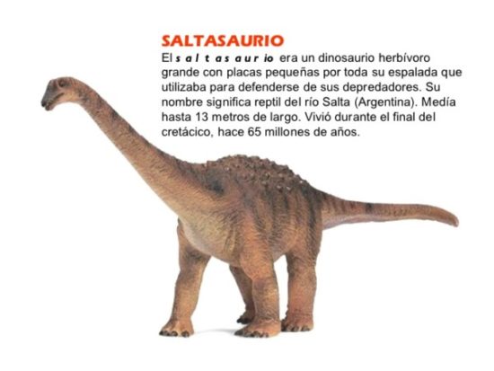Dinosaurios información (19)