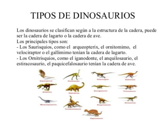 Dinosaurios información (9)